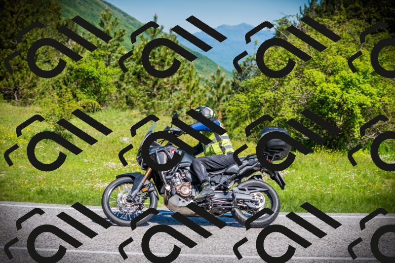 202505251023-DSC06775_c1_