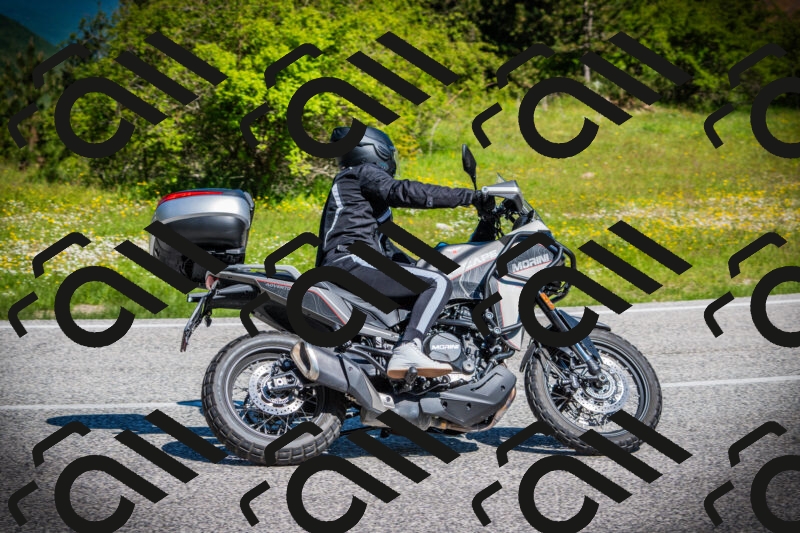 202505251023-DSC06785_c1_