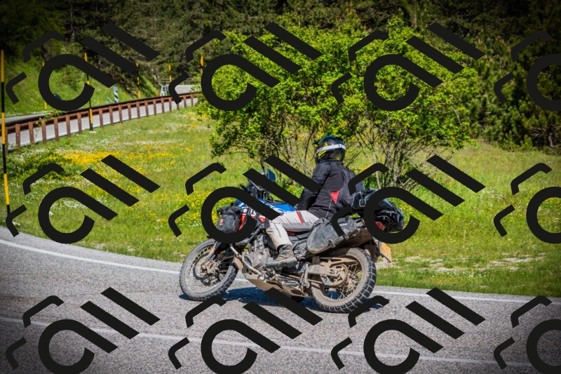 202505251025-DSC06802_c1_