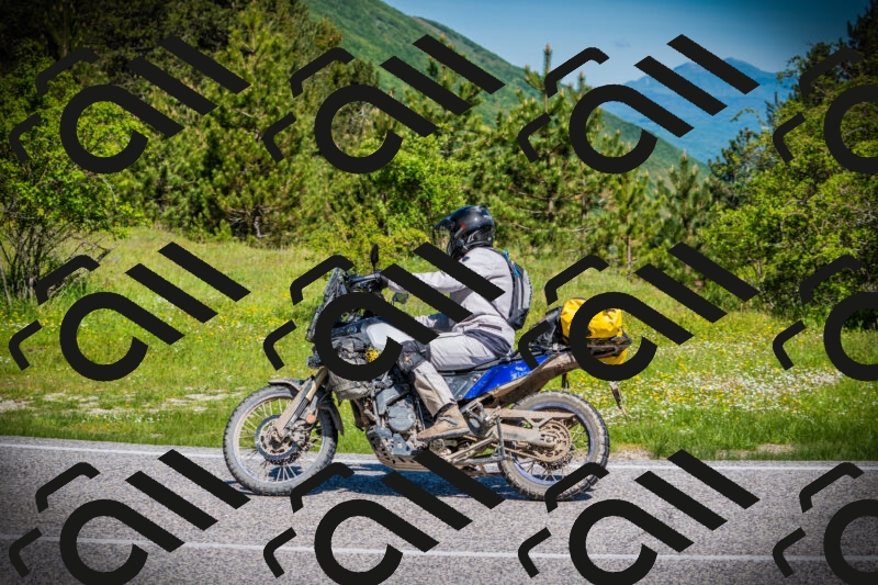 202505251025-DSC06807_c1_