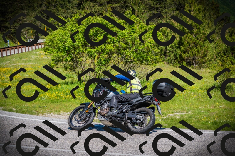 202505251026-DSC06819_c1_