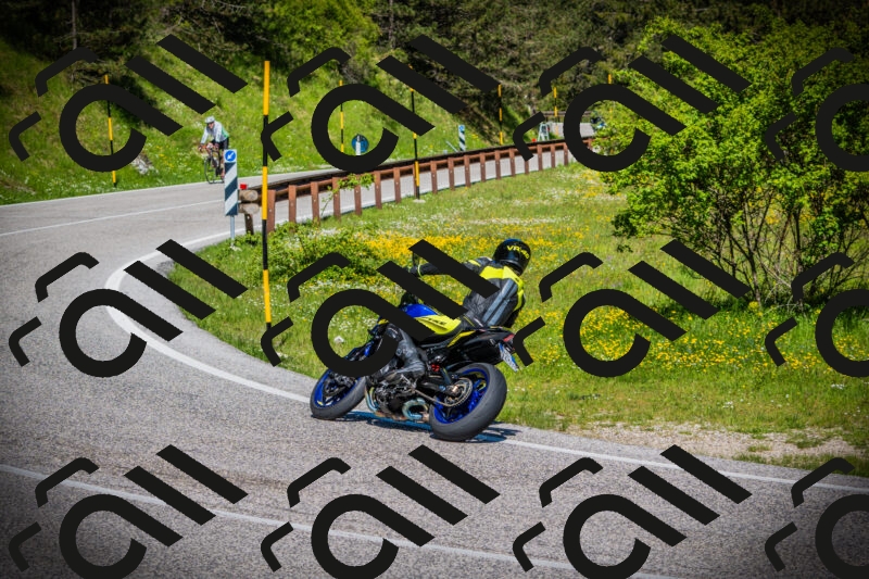 202505251035-DSC06963_c1_