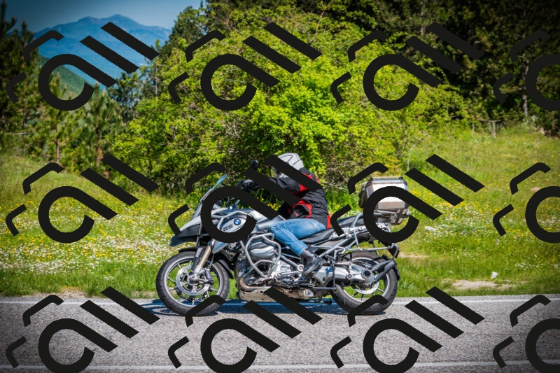 202505251035-DSC06973_c1_