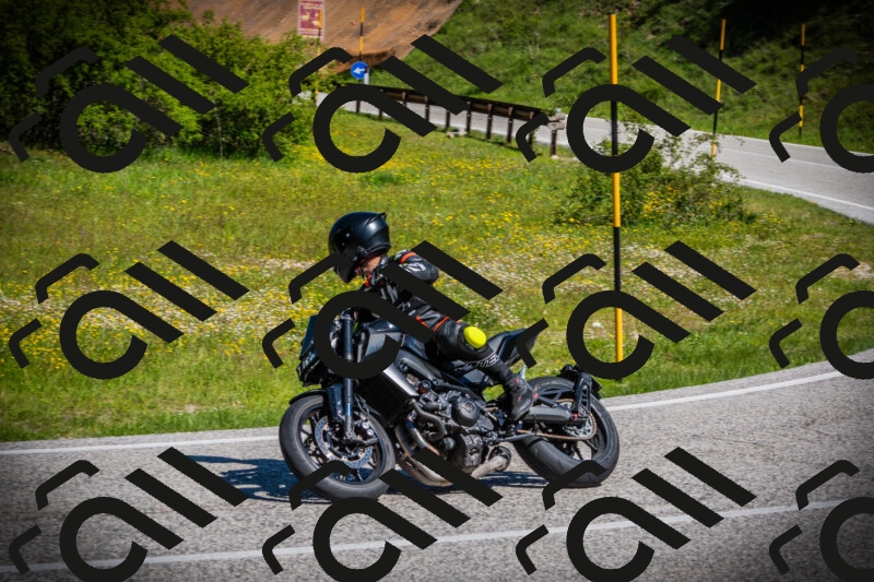 202505251042-DSC07042_c1_