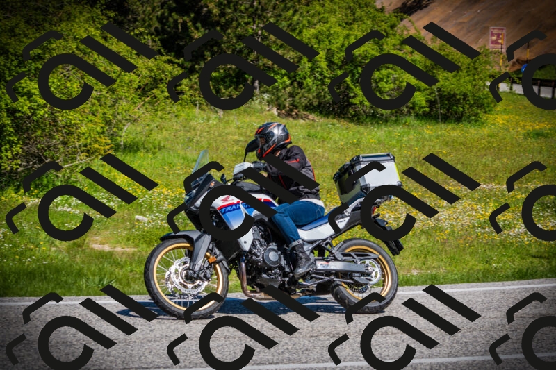 202505251044-DSC07081_c1_