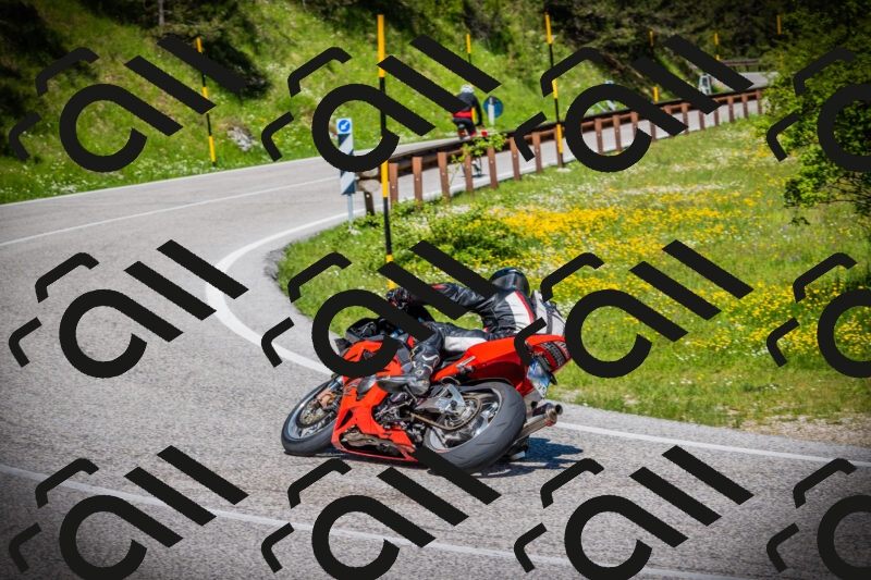 202505251051-DSC07135_c1_