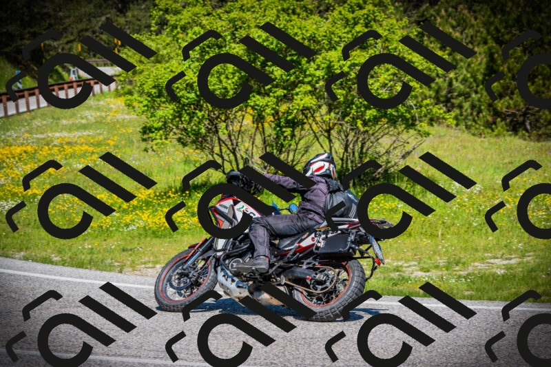 202505251052-DSC07151_c1_