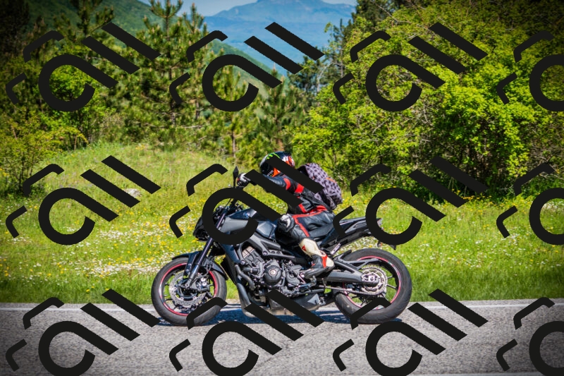 202505251053-DSC07165_c1_