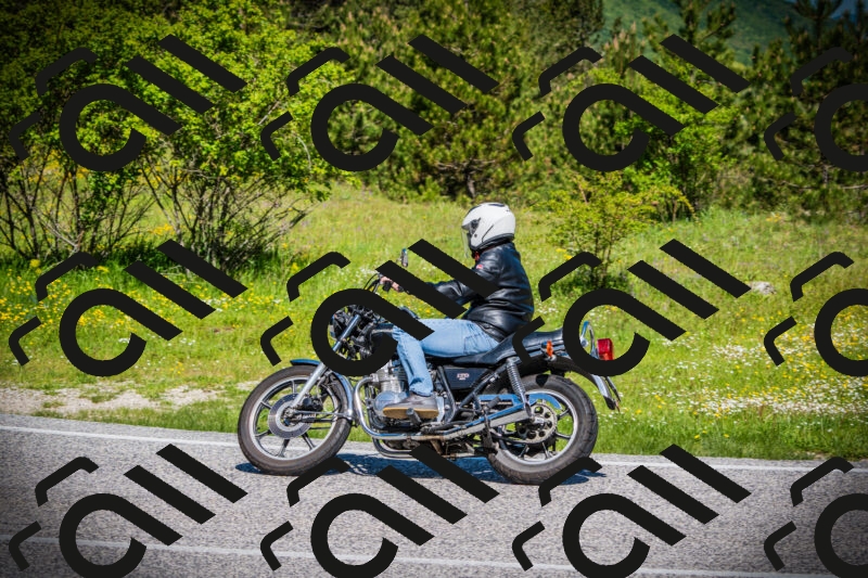 202505251053-DSC07177_c1_