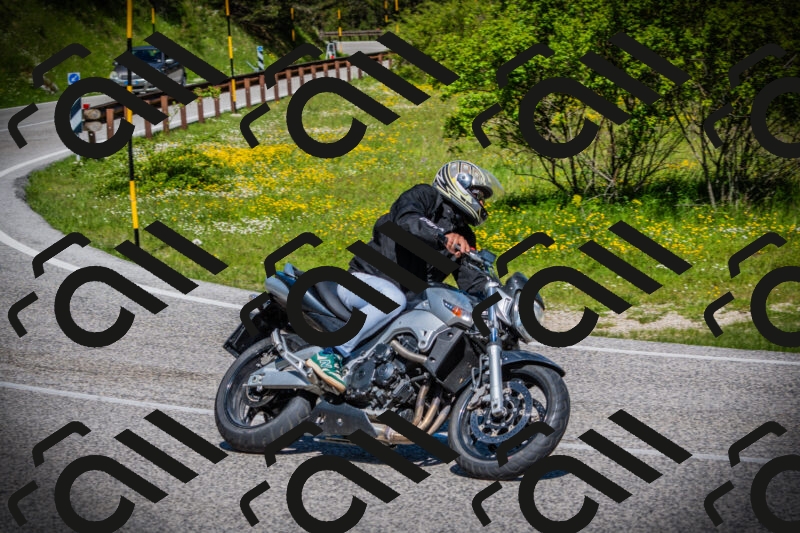 202505251056-DSC07205_c1_