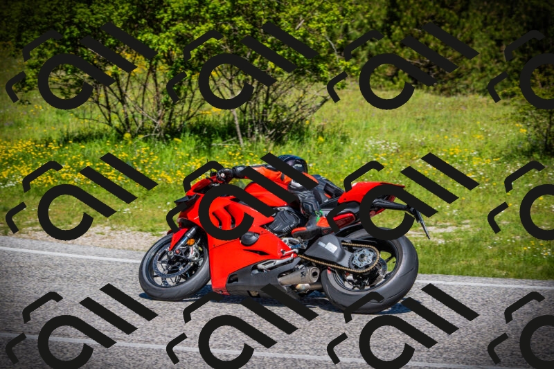 202505251059-DSC07229_c1_