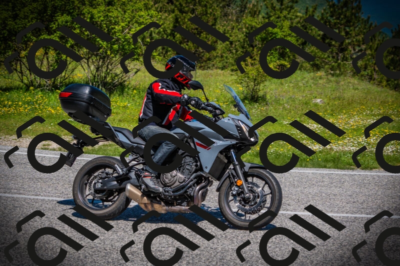 202505251100-DSC07236_c1_