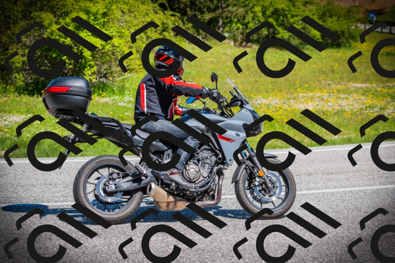 202505251100-DSC07237_c1_