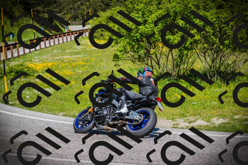 202505251100-DSC07242_c1_