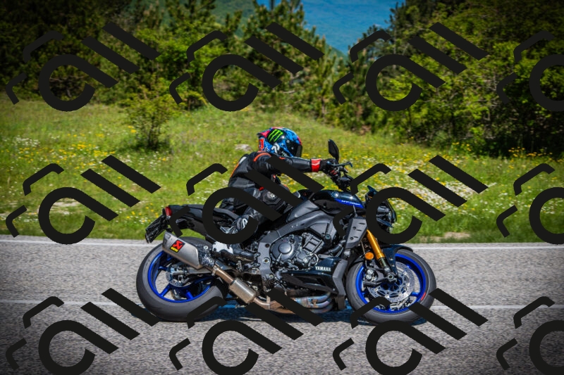 202505251101-DSC07262_c1_