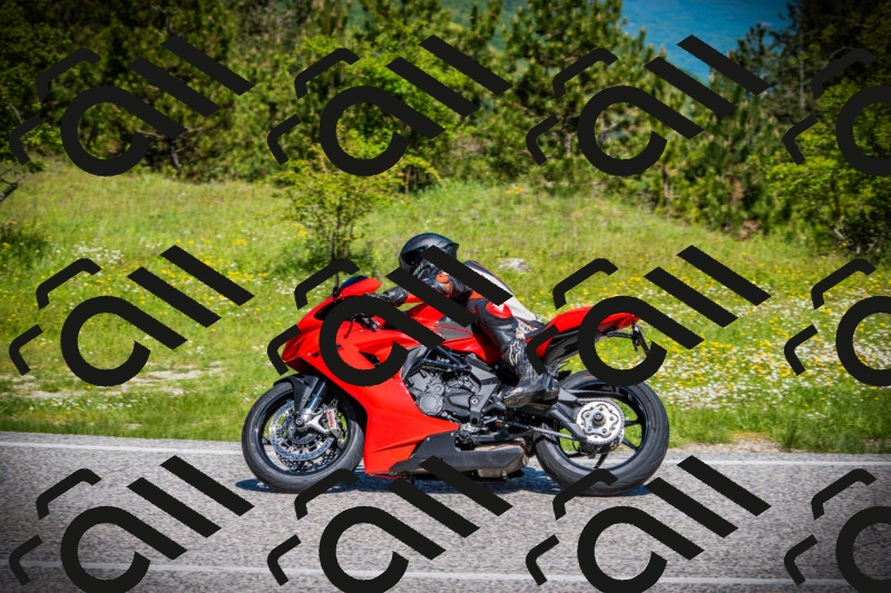 202505251101-DSC07268_c1_