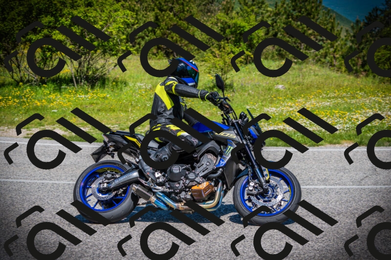 202505251102-DSC07313_c1_