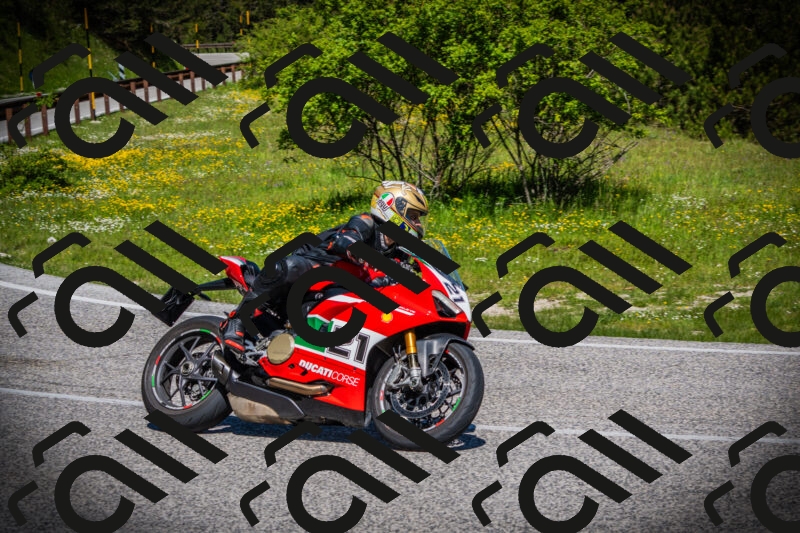 202505251102-DSC07321_c1_