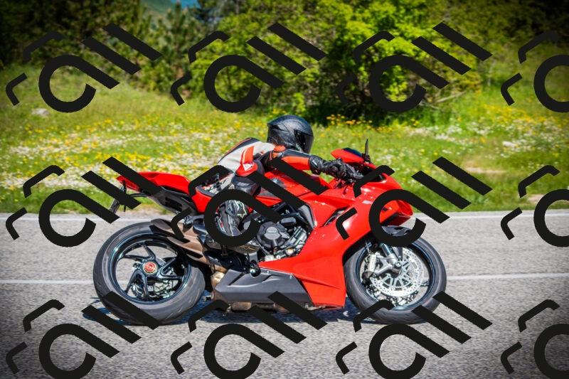 202505251102-DSC07335_c1_