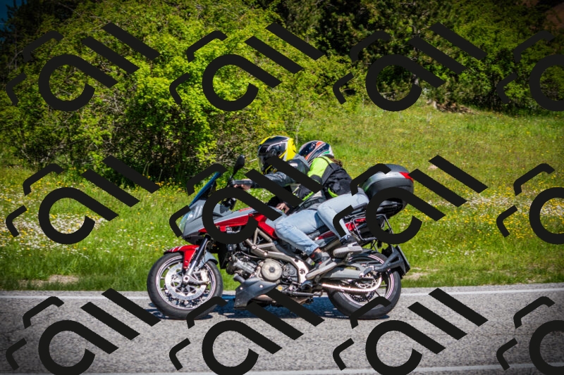 202505251103-DSC07342_c1_