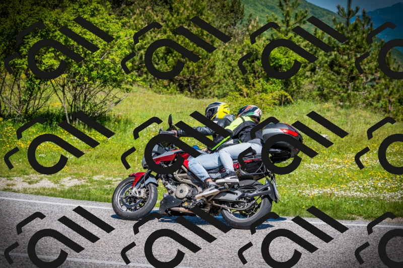 202505251103-DSC07343_c1_