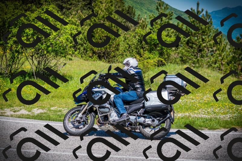 202505251103-DSC07360_c1_