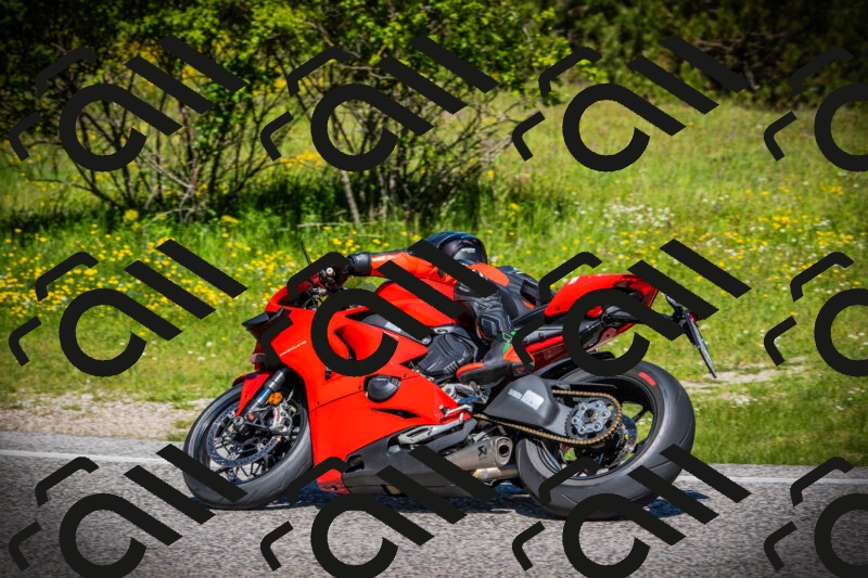 202505251104-DSC07381_c1_