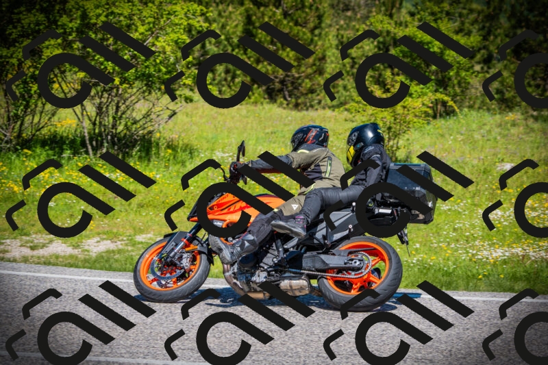 202505251104-DSC07411_c1_