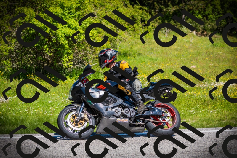 202505251105-DSC07438_c1_