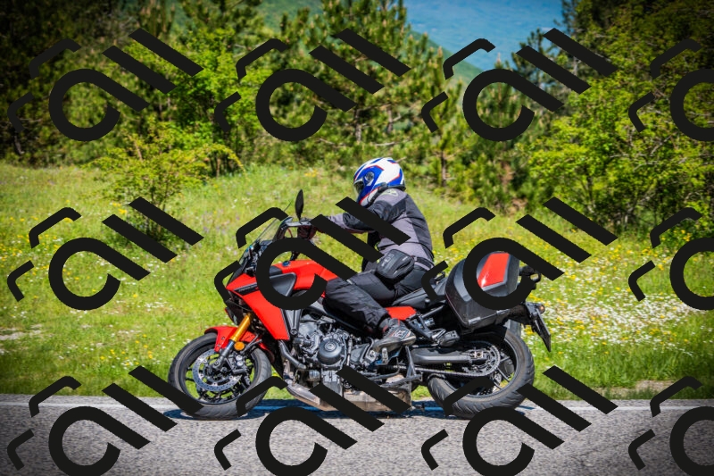 202505251105-DSC07463_c1_