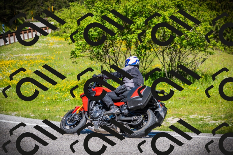 202505251105-DSC07464_c1_