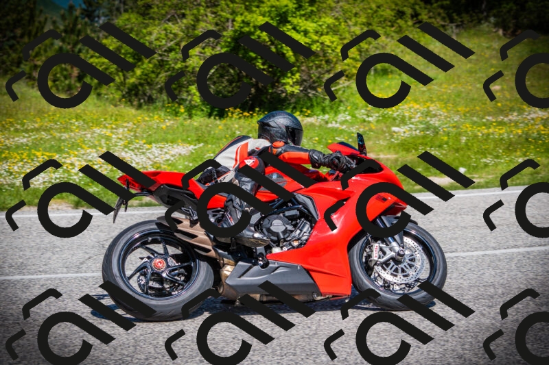 202505251105-DSC07469_c1_