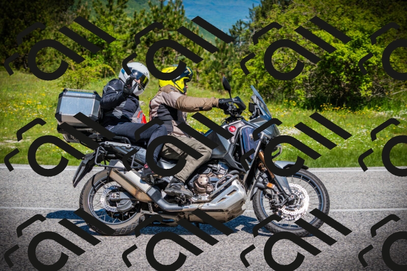 202505251106-DSC07505_c1_