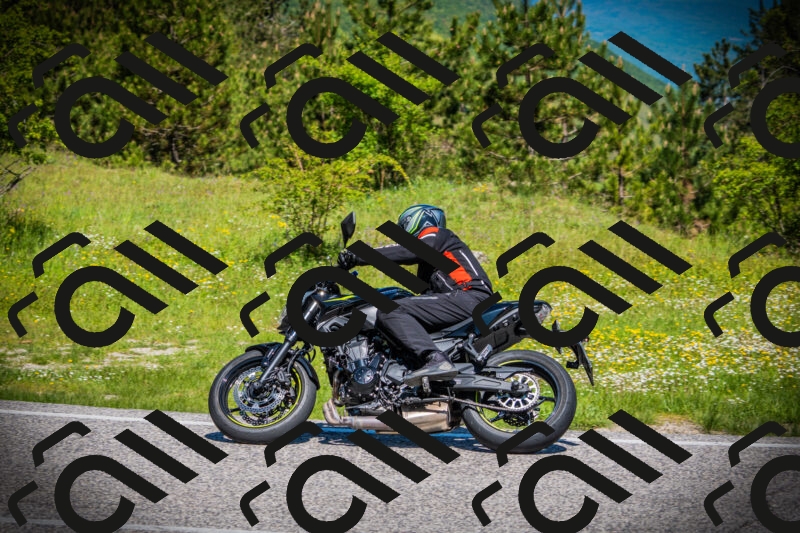 202505251107-DSC07541_c1_