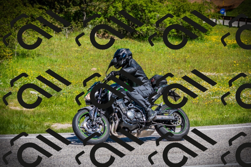 202505251107-DSC07561_c1_