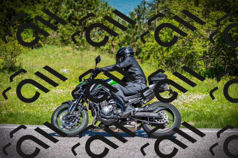 202505251107-DSC07562_c1_