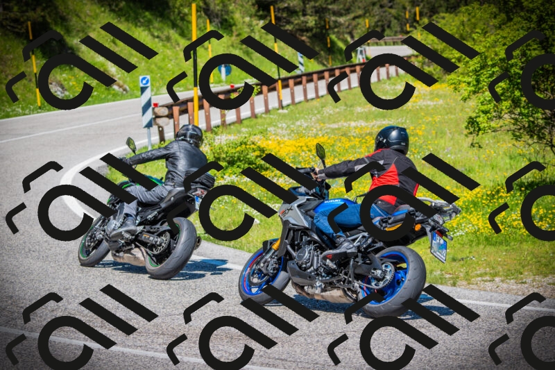 202505251107-DSC07564_c1_