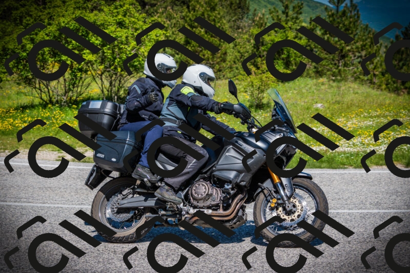 202505251108-DSC07579_c1_