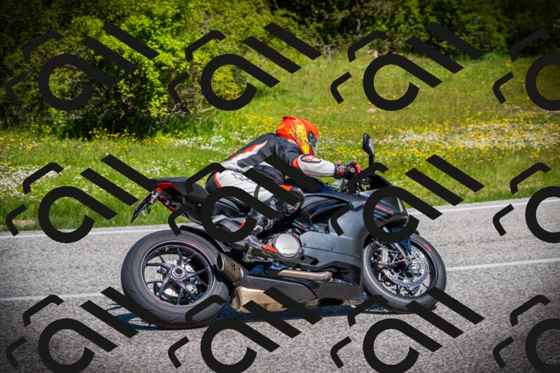 202505251109-DSC07611_c1_