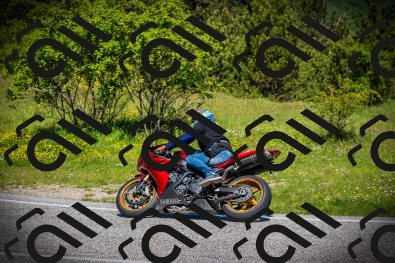 202505251109-DSC07621_c1_