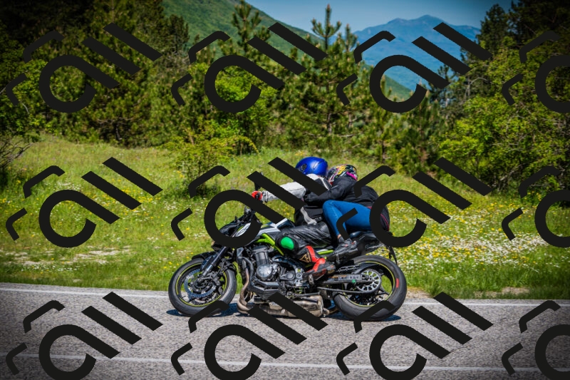 202505251112-DSC07750_c1_