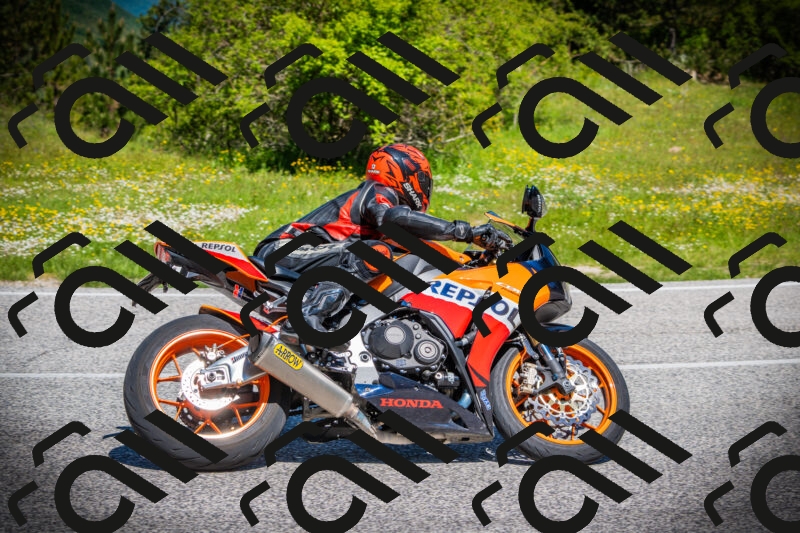 202505251115-DSC07830_c1_