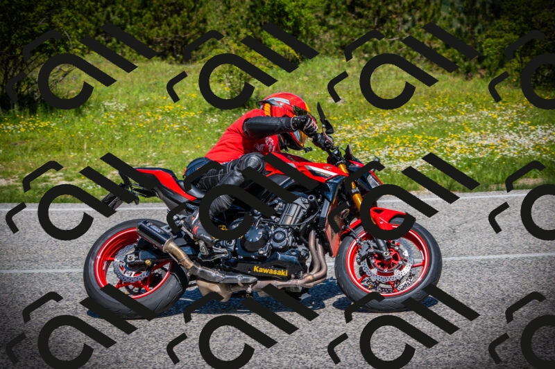 202505251115-DSC07856_c1_