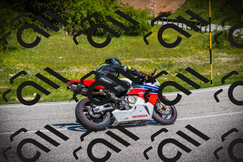 202505251115-DSC07863_c1_