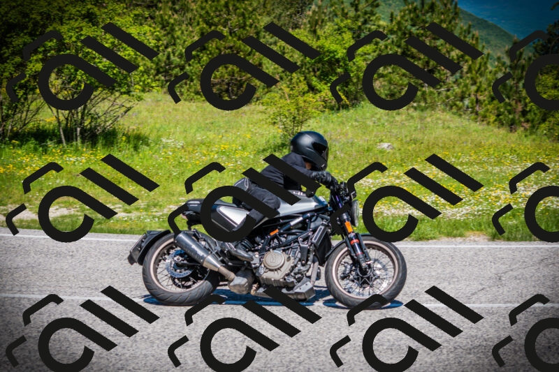 202505251115-DSC07875_c1_