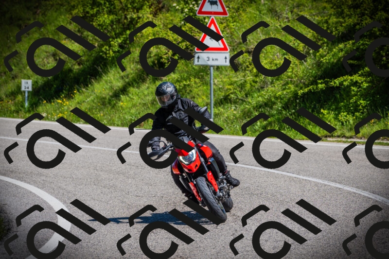 202505251116-DSC07905_c1_