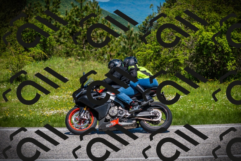 202505251117-DSC07932_c1_