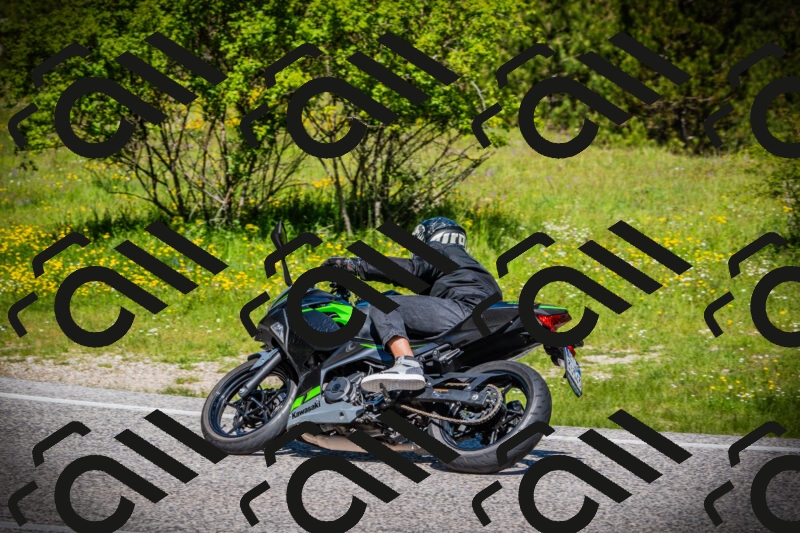 202505251117-DSC07945_c1_