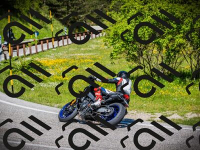 202505251117-DSC07952_c1_