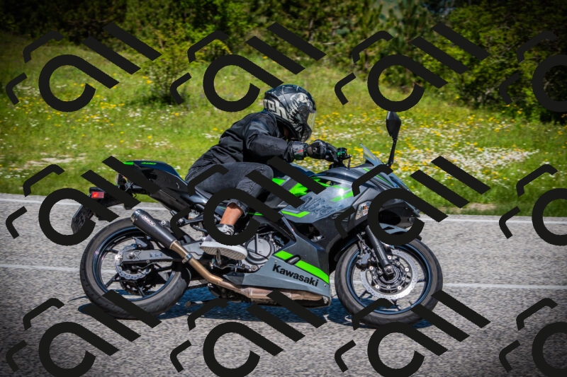 202505251118-DSC07986_c1_